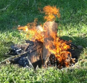 feu de bois, wood fire